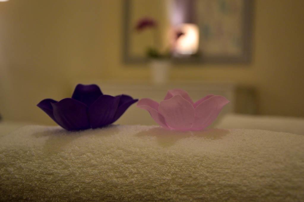בודפשט Magnolia Terazze Street Parking Apartment מראה חיצוני תמונה