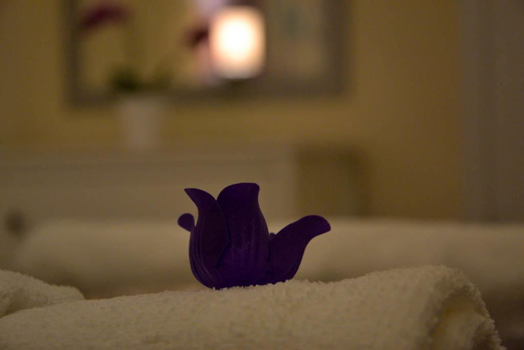 בודפשט Magnolia Terazze Street Parking Apartment מראה חיצוני תמונה